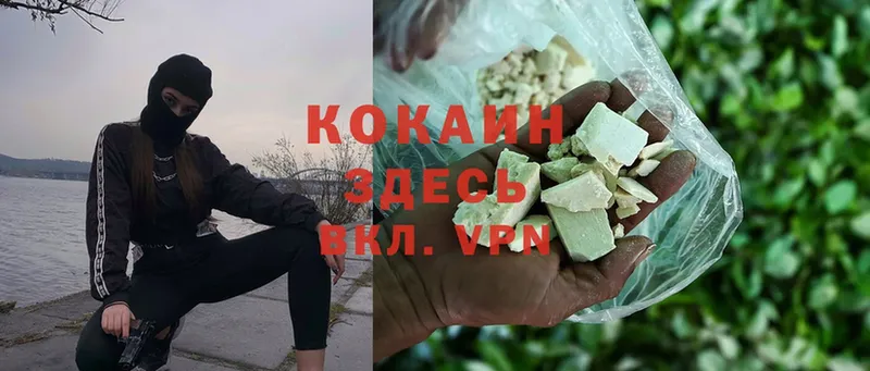 КОКАИН Fish Scale Заречный