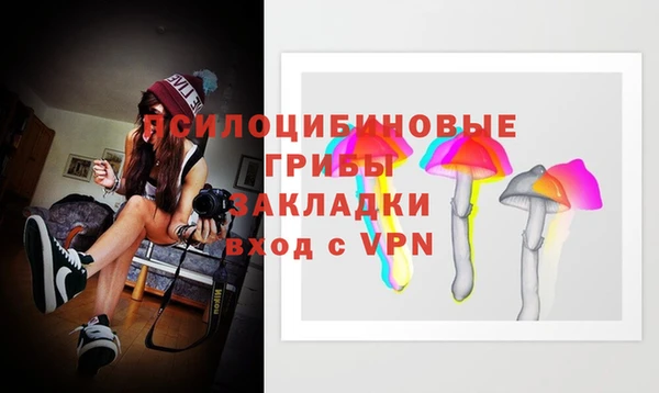 стаф Лихославль