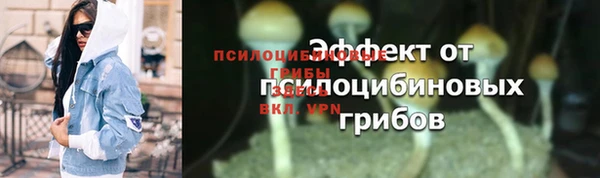 первитин Лиски
