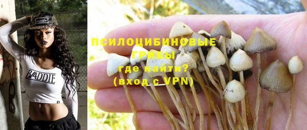 первитин Лиски
