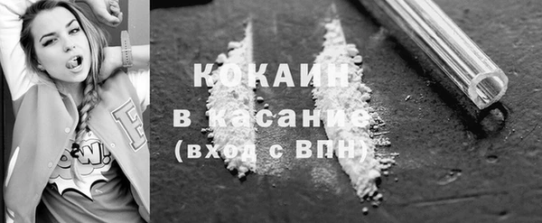 трава Магас
